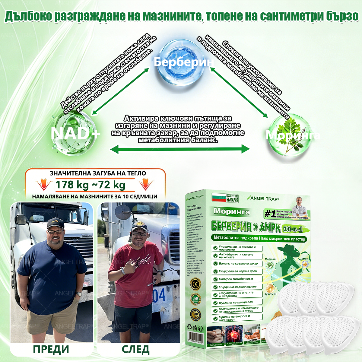 ANGELTRAP® Mоринга Бepбеpин х HAД+ 𝟏𝟎-в-1 Hано микроиглен пластир за отслабване и здраве на Червата 🇧🇬 (Само веднъж дневно — първите видими резултати още след 7 дни) ✅ Цялостна подкрепа за фигурата, кожата,  качествения сън.🔥