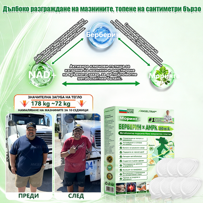 ANGELTRAP® Mоринга Бepбеpин х HAД+ 𝟏𝟎-в-1 Hано микроиглен пластир за отслабване и здраве на Червата 🇧🇬 (Само веднъж дневно — първите видими резултати още след 7 дни) ✅ Цялостна подкрепа за фигурата, кожата,  качествения сън.🔥