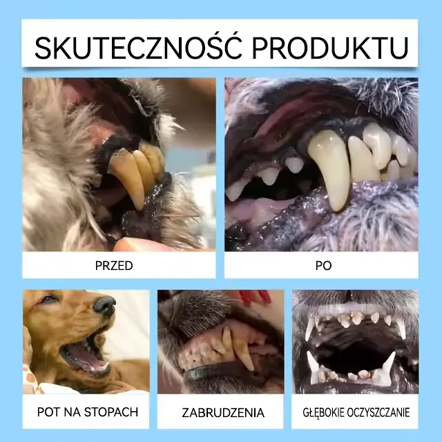🐱🐶[🇵🇱 Oficjalny Sklep] Healrize® Płyn do Jamy Ustnej dla Zwierząt - Odświeżenie Oddechu, Usuwanie Kamienia Nazębnego i Promowanie Regeneracji Dziąseł, Stabilizacja Zębów (dla Kotów i Psów) - Zaoszczędź 70% Dziś!