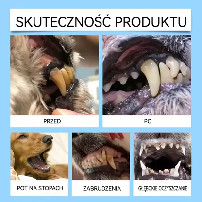 🐱🐶[🇵🇱 Oficjalny Sklep] Healrize® Płyn do Jamy Ustnej dla Zwierząt - Odświeżenie Oddechu, Usuwanie Kamienia Nazębnego i Promowanie Regeneracji Dziąseł, Stabilizacja Zębów (dla Kotów i Psów) - Zaoszczędź 70% Dziś!
