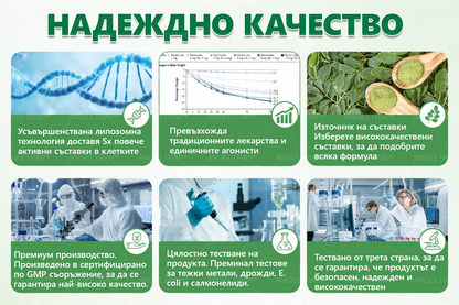 ANGELTRAP® 𝐌𝐨𝐫𝐢𝐧𝐠𝐚 × 𝐁𝐞𝐫𝐛𝐞𝐫𝐲𝐧𝐚 × 𝐀𝐌𝐏𝐊 𝟏𝟎 в 𝟏 – Нано микроиглен пластир за отслабване|Само 𝟏× дневно 🇧🇬🌿 Видими промени за 𝟕 дни – при затлъстяване, сърдечно-съдово здраве, диабет и ставни проблеми🔥⏰