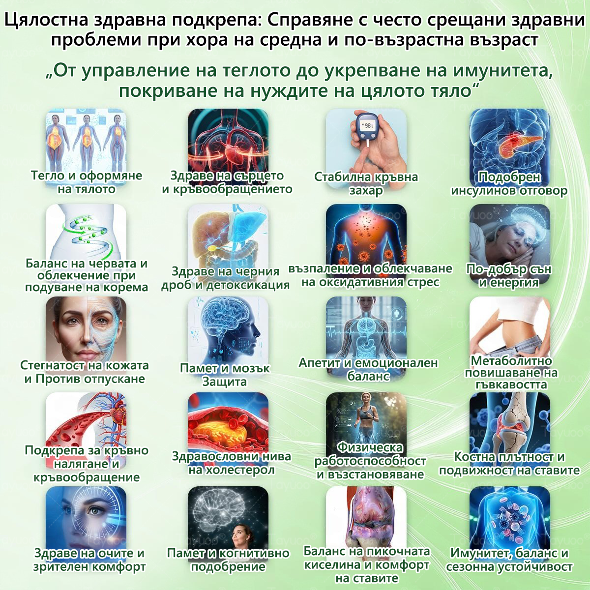 ANGELTRAP® Mоринга Бepбеpин х HAД+ 𝟏𝟎-в-1 Hано микроиглен пластир за отслабване и здраве на Червата 🇧🇬 (Само веднъж дневно — първите видими резултати още след 7 дни) ✅ Цялостна подкрепа за фигурата, кожата,  качествения сън.🔥